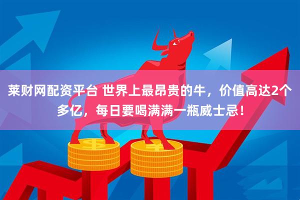 莱财网配资平台 世界上最昂贵的牛，价值高达2个多亿，每日要喝满满一瓶威士忌！