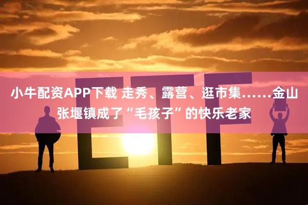 小牛配资APP下载 走秀、露营、逛市集……金山张堰镇成了“毛孩子”的快乐老家