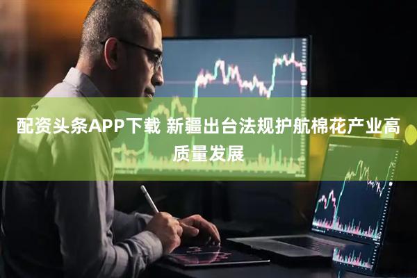 配资头条APP下载 新疆出台法规护航棉花产业高质量发展