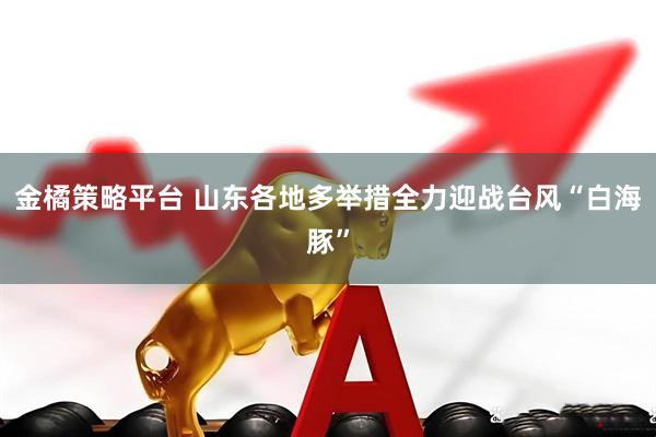 金橘策略平台 山东各地多举措全力迎战台风“白海豚”