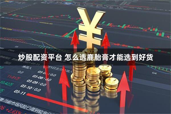炒股配资平台 怎么选鹿胎膏才能选到好货